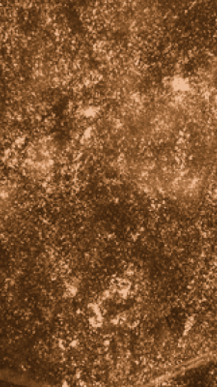 Betroffenheitsanalyse